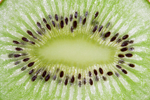 BocasVitis Alimentos Disenador Kiwi Salud