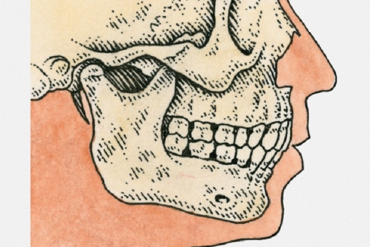 Dientes Historia