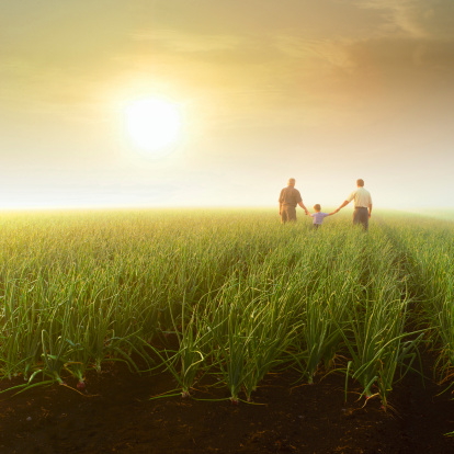 La Culpa No Es De La Agricultura