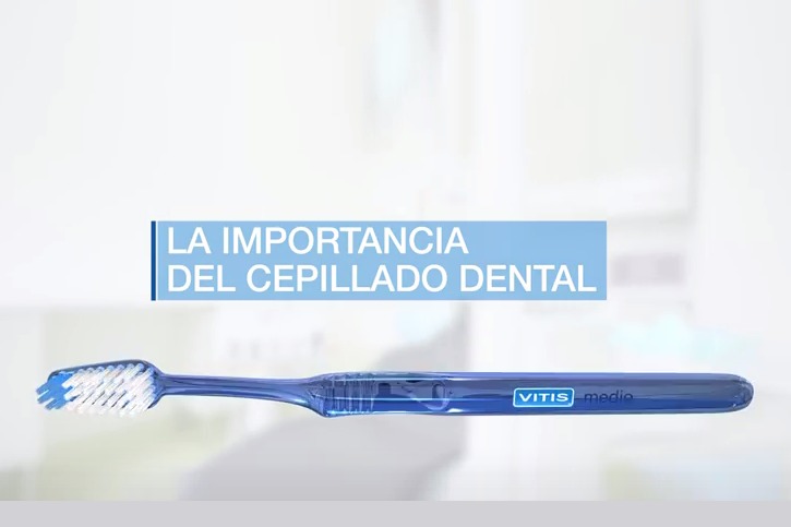 Cepillado Dental