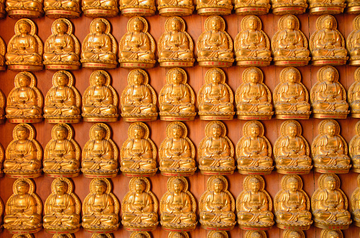 Diente De Buda