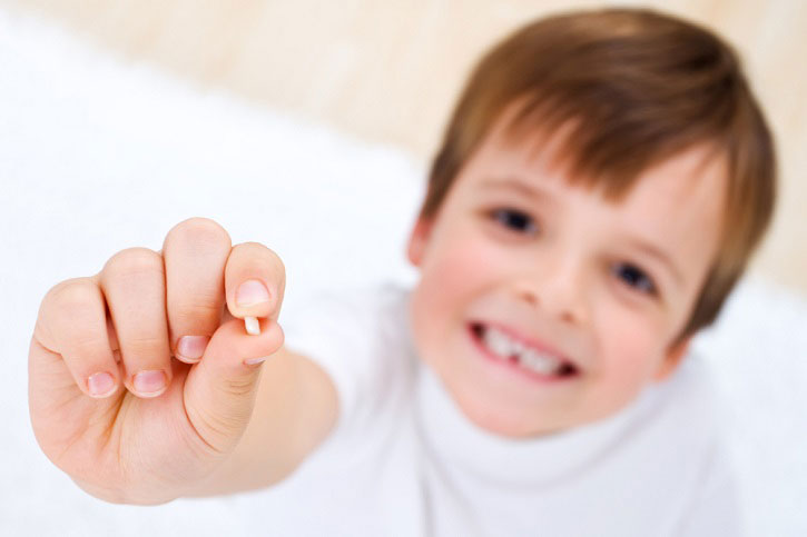 Dientes De Leche