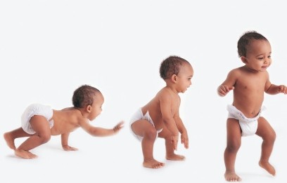Evolución Dientes