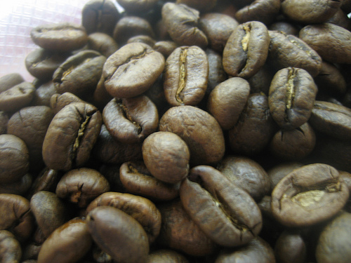 Café Kopi Luwak