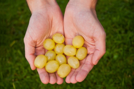 Doce Uvas Para Entrar Al 2015 Con Una Sonrisa