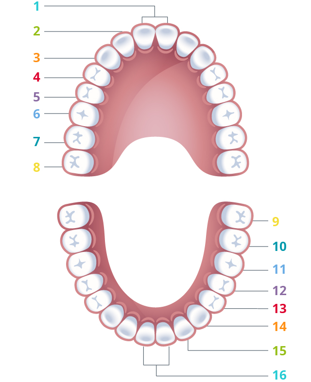 Higiene bucal infantil Higiene bucal infantil